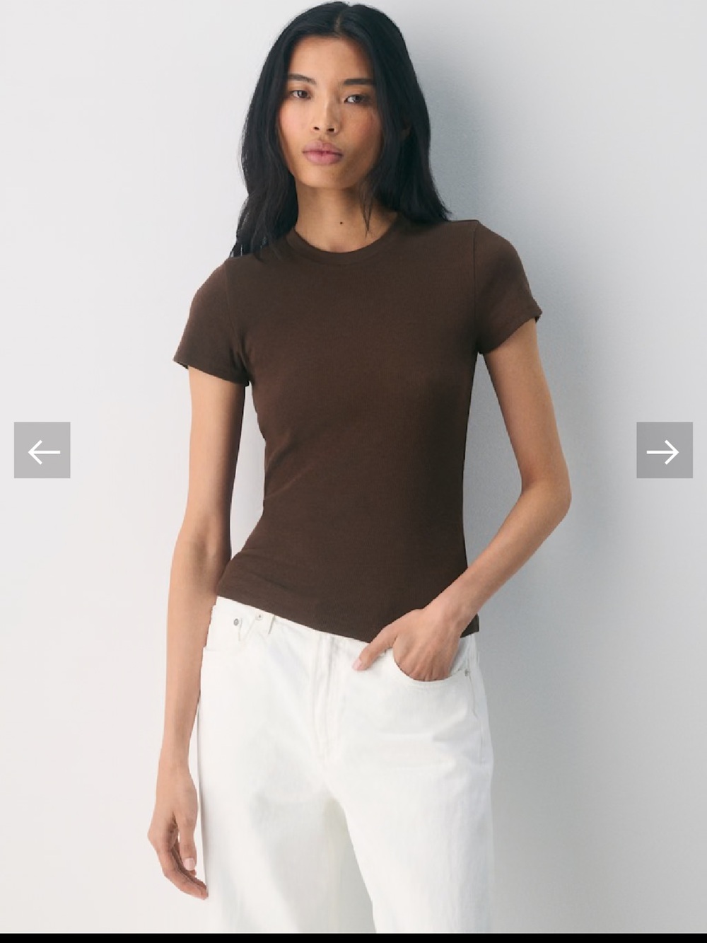 Aritzia Homestretch Rib Tune T-Shirt in Rich Mocha Brown